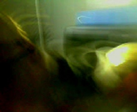 Ma création (selle, tapis , ammortisseur , martaginle , renes + bride .... )