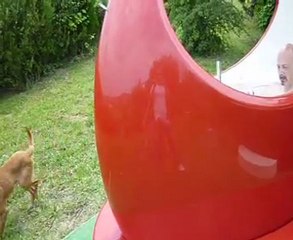 Aquabike individuel ZenSumum