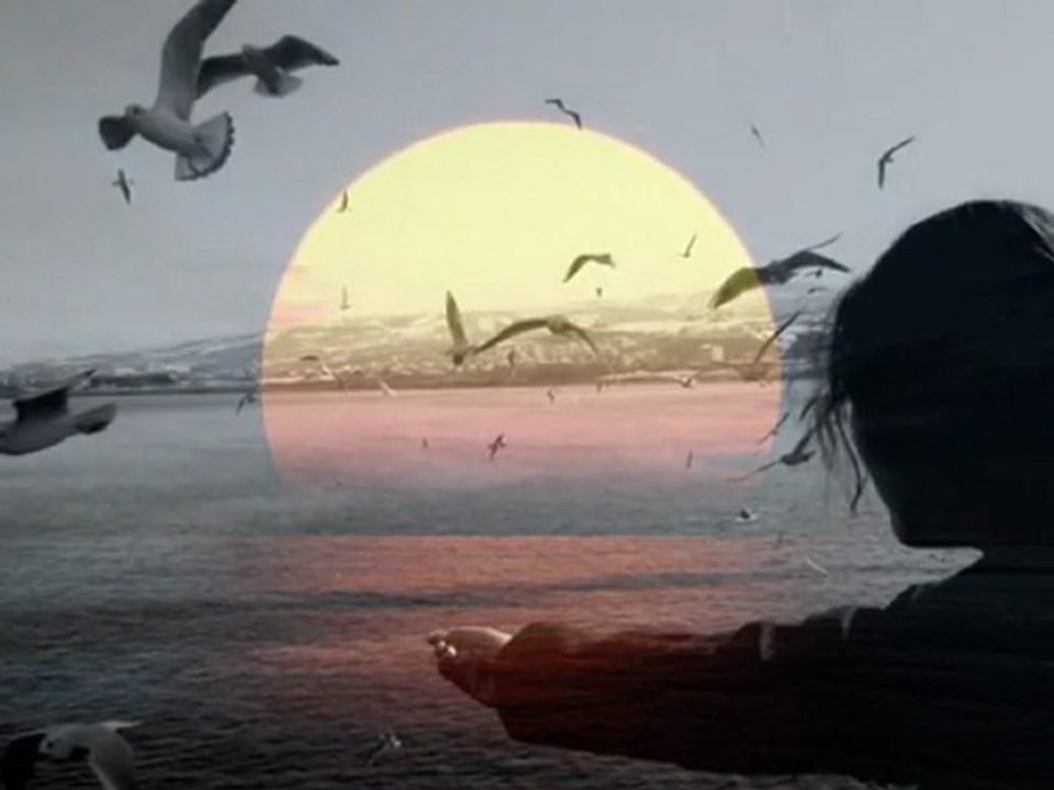 Hüsnü Arkan Nereye Uçar Turnalar