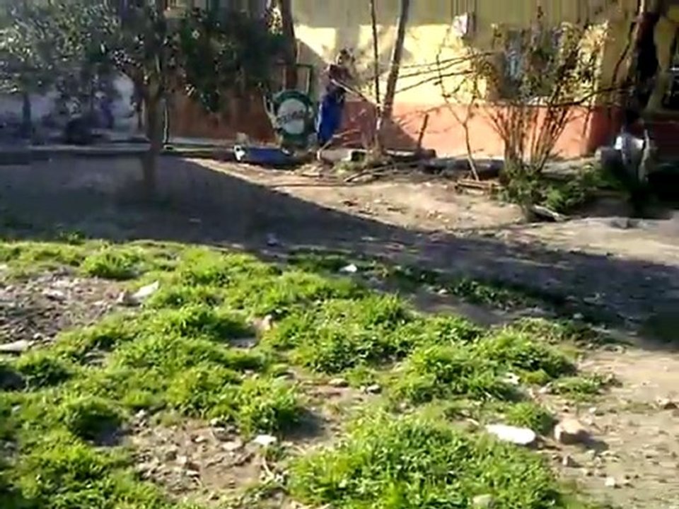 bella bahçe video