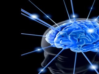 Stevia Side Effects - All You Need To Know – Part 2