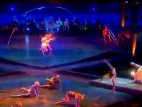 Cirque du Soleil - Alegria