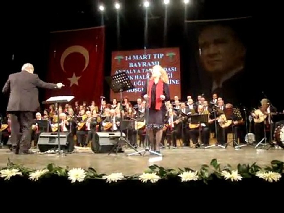 havva türkdoğan
