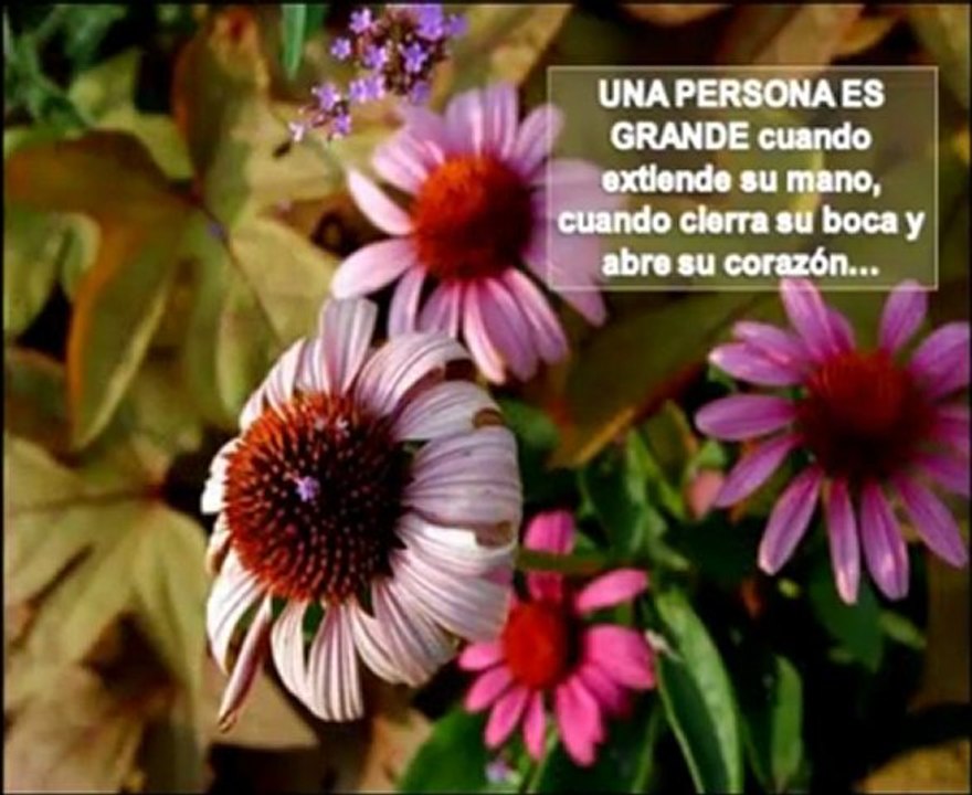 el poder de las personas