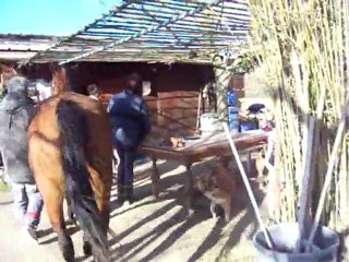 Coeur-Caillou-Gris-18-03-2012 032