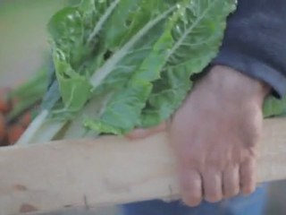 UN JOUR AVEC ARMAND ARNAL