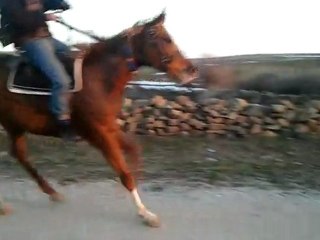 Attımız ayşe ve ben