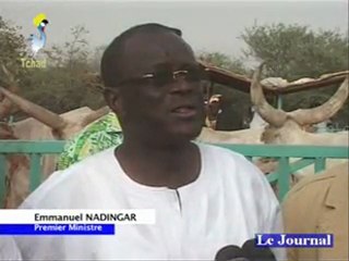 GRAND JT TCHAD DU 18 MARS 2012 SUR TOL