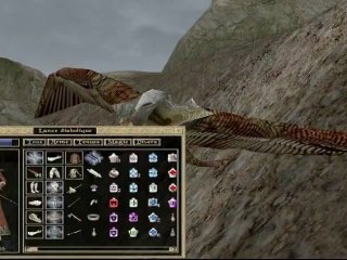 Morrowind [11] Bugs en tout genres