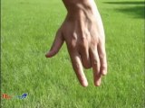 【Middle Finger】　真ん中の指が？？　～見方を変える～