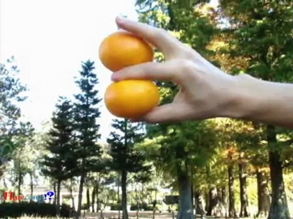 【Double】　１つのみかんが一瞬で２つに！？　～見方を変える～