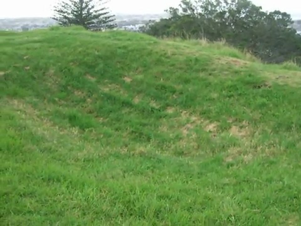 DSCF4551