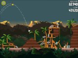 Jungle Escape 4-14