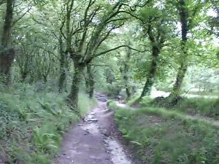 Le 09/06/2011 vers 10 heures