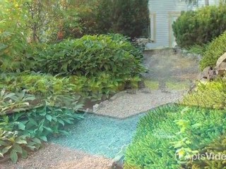 Aravia Apartments in Tacoma, WA - ForRent.com