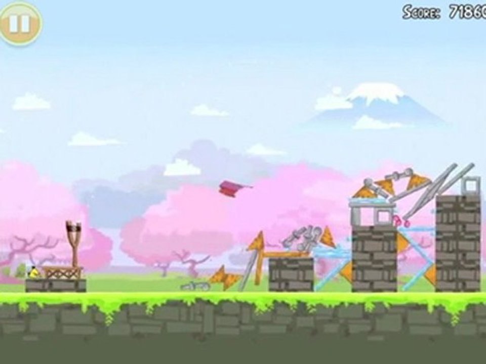 Cherry Blossom 1-6