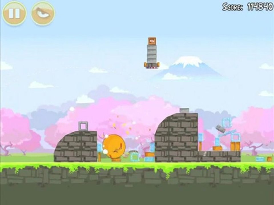 Cherry Blossom 1-11