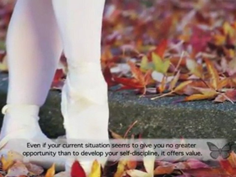 Prepare Yourself To Succeed: Wisie Wisdom For Success