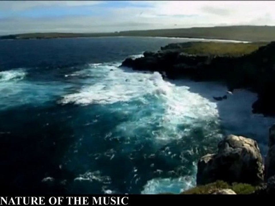 THE NATURE OF THE MUSIC - YOU