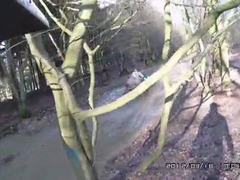 brute force 650 ET 125DTRE en foret