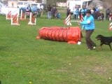 Dolce agility eyragues 12 - 2°