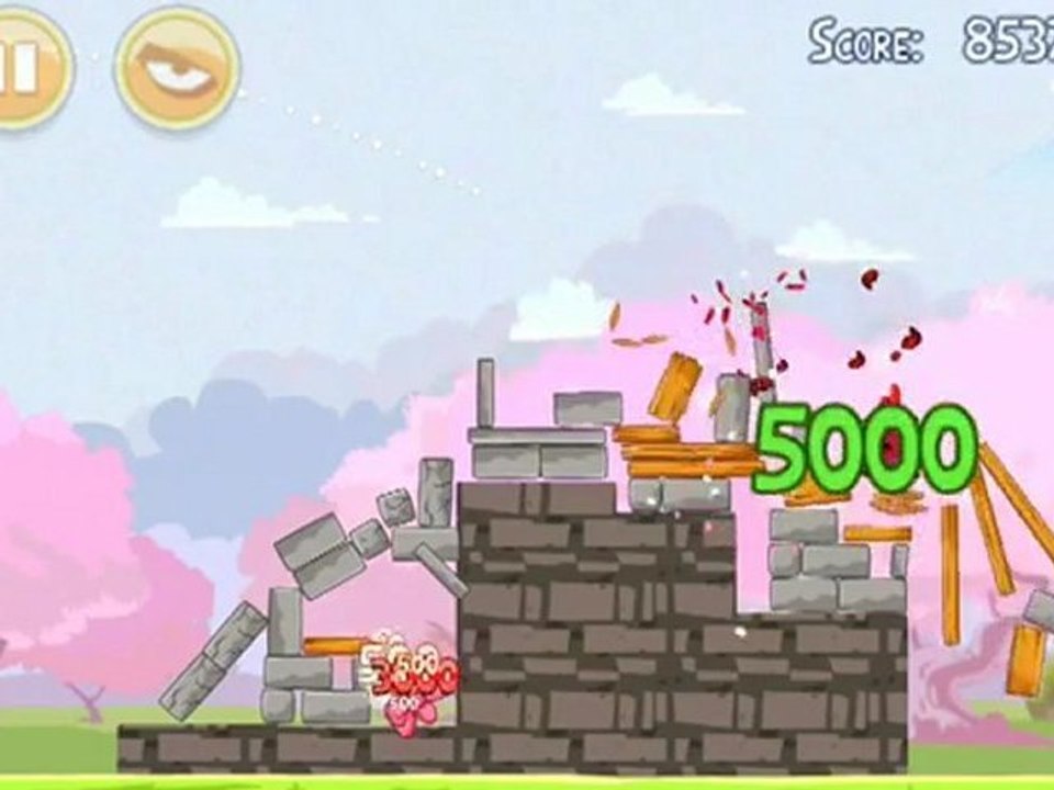 Cherry Blossom 1-5