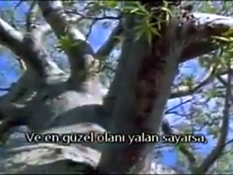 YAŞAM AMACIMIZ NE  ?