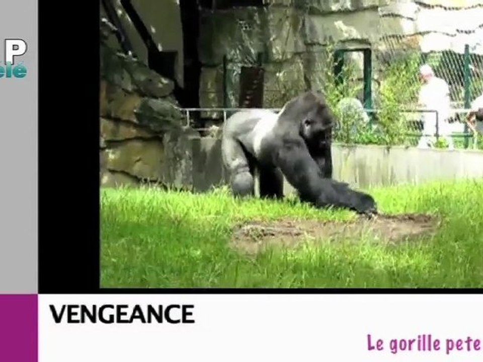 Zapping du net du 19 mars 2012
