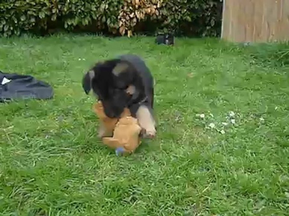 Vidéo 1