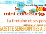 PARTICIPEZ AU MINI-CONCOURS