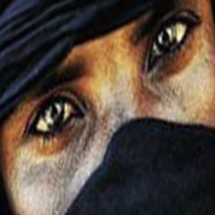 Seviyorsun - Ahmet Selçuk İlkan