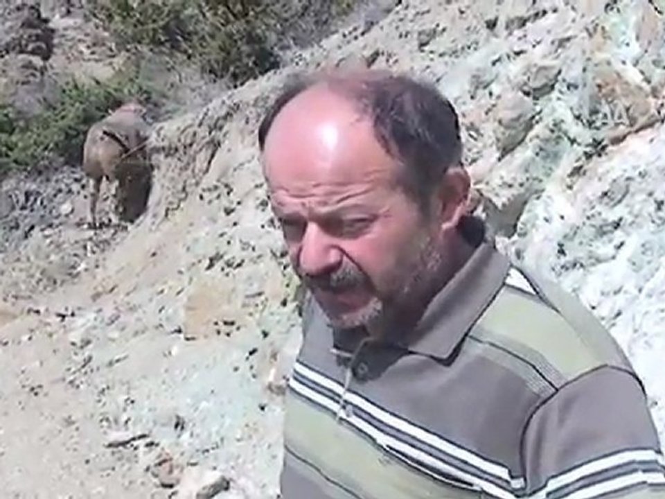 Boğalar antrenmanda