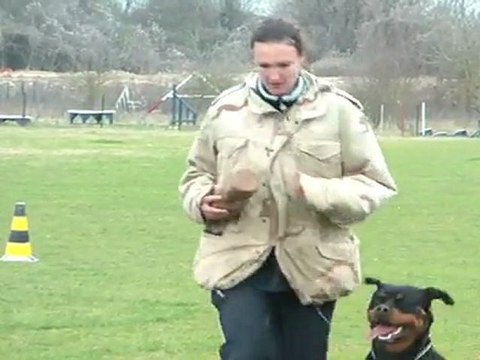 Feena Von den Nibelungen RCI 1 Obéissance: 81/100 points