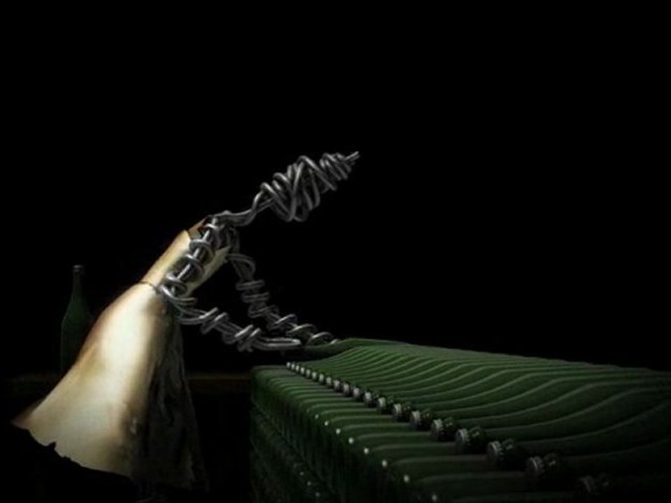 L'élaboration du champagne 5/8 : le vieillissement