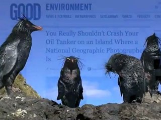 Digital Nomad Battles Remote Oil Spill