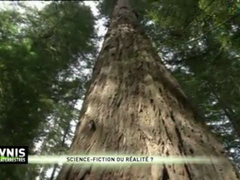 Extra-terrestres - Science fiction ou réalité ?