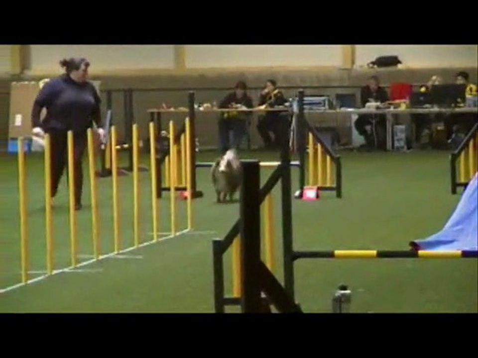 Agility luxembourg 18.03.12
