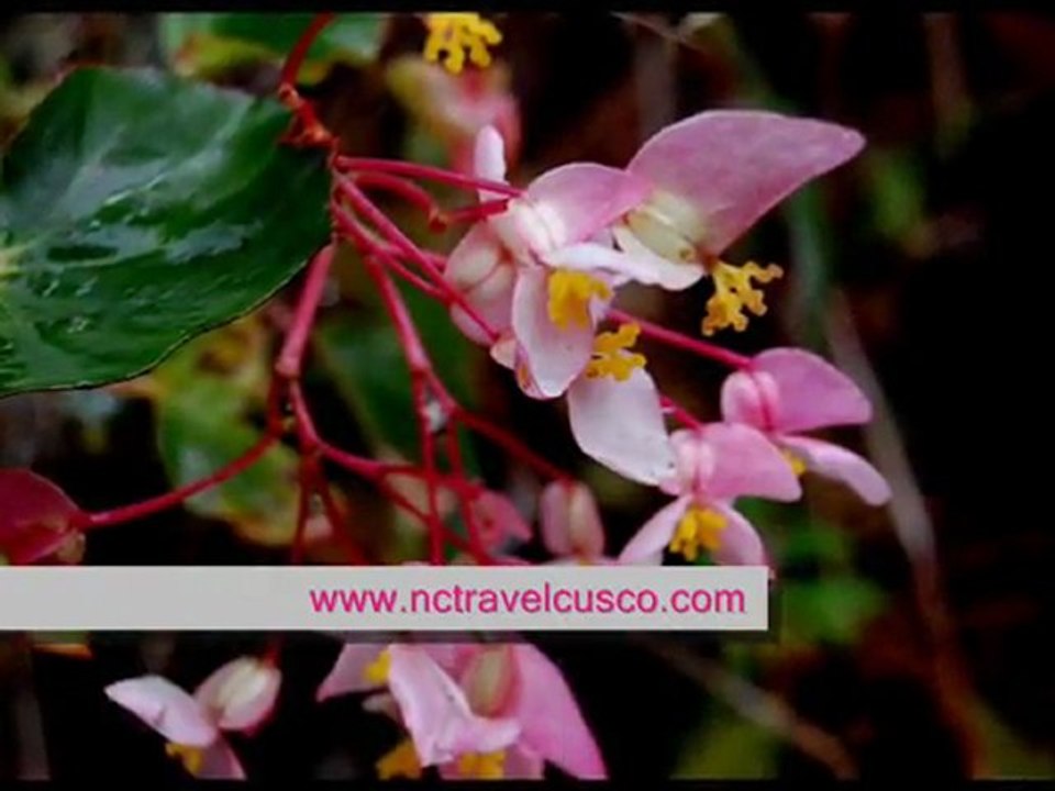 Inca Trail_0001