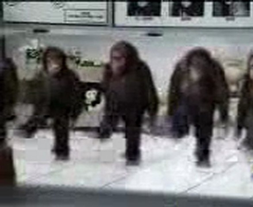 Maymunlar Halay Çekermi Bakın İzleyin