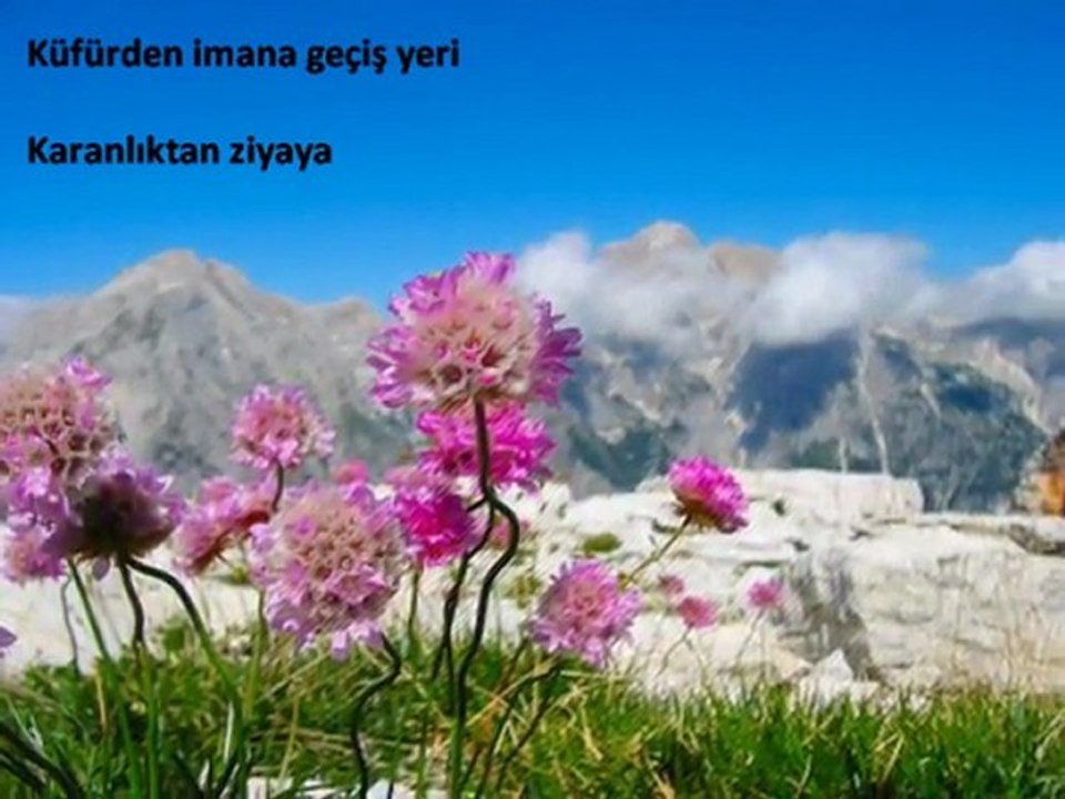 Murat Harmankaya Seccadem