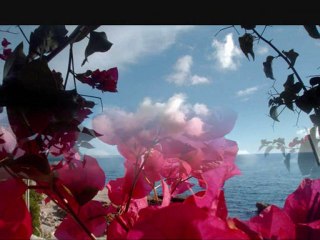 CARMEN - EL AMOR ES HIJO DE UN BOHEMIO - LADY HAGUA.