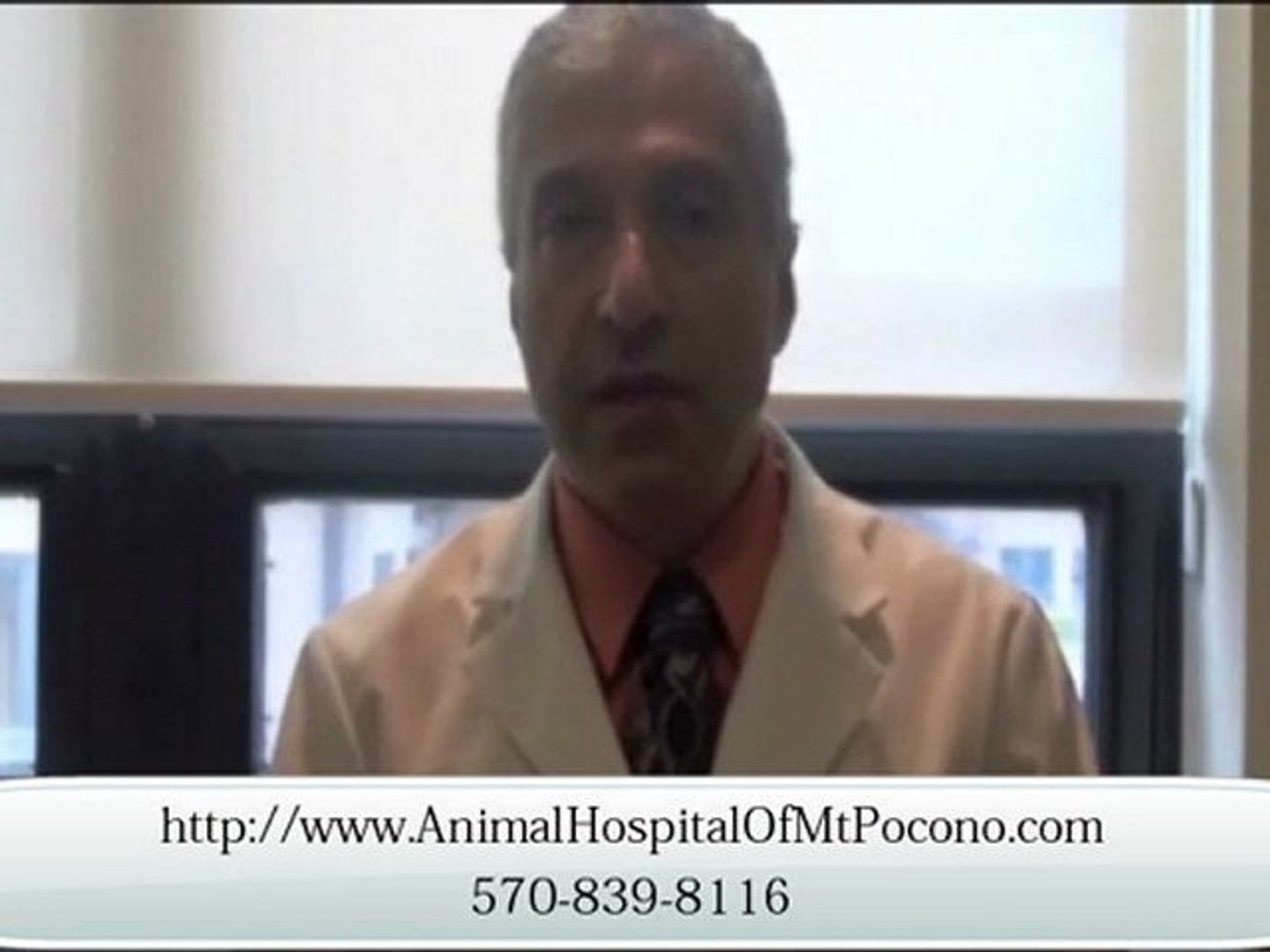 ⁣24/7 Veterinary Service in Mt. Pocono