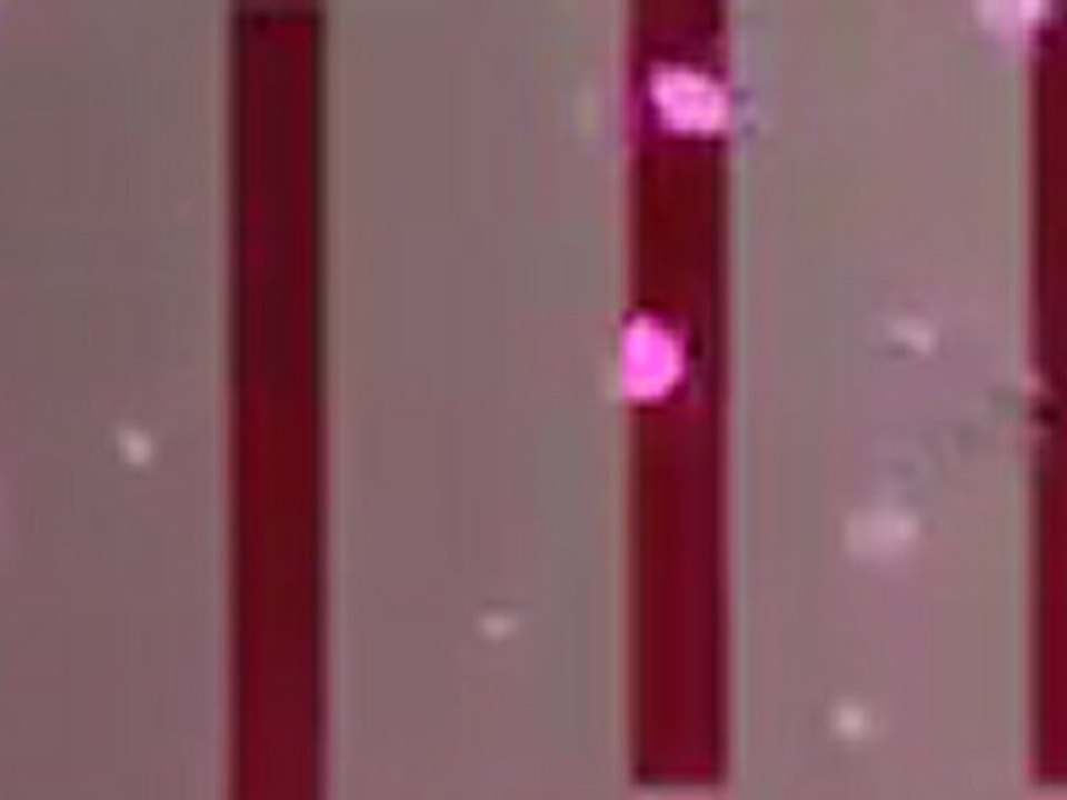 CG動画素材『桜・背景』/ Royalty-Free Cherry Blossoms Animation - MotionElements.com