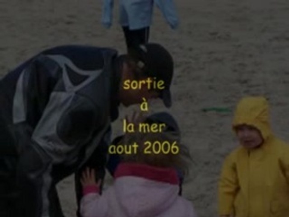 mer 2006