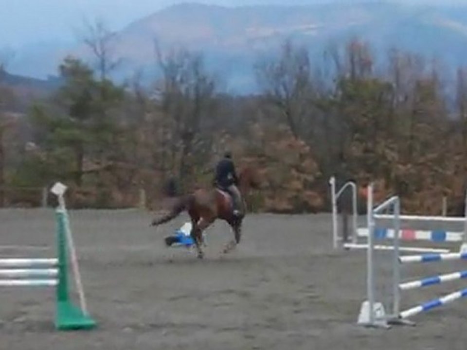 Newland sur la 95 cm