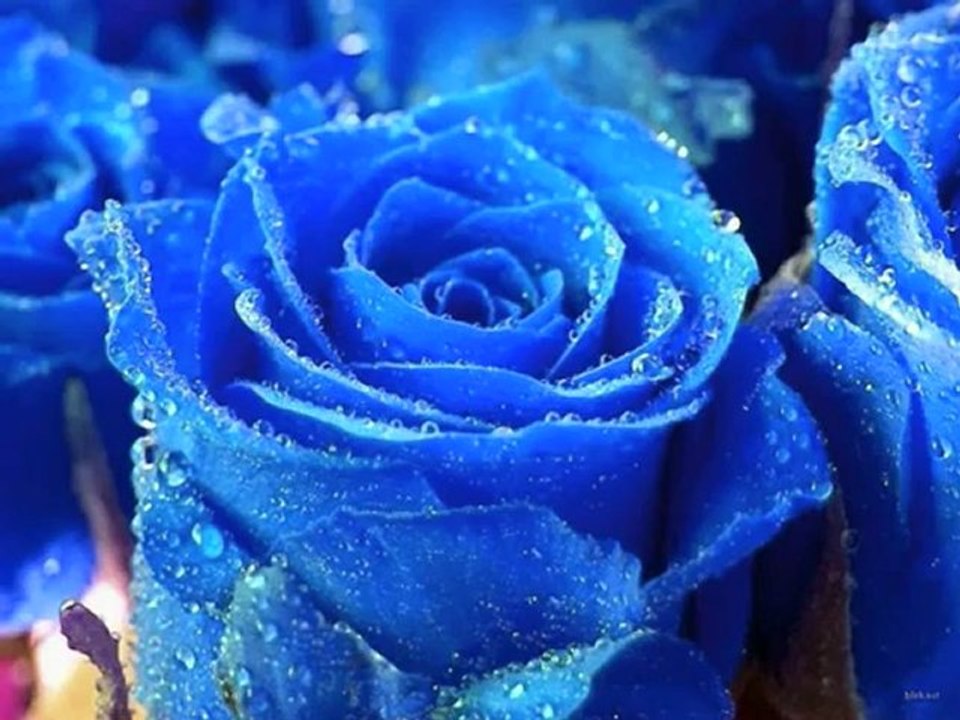 - موسيقى صامته -