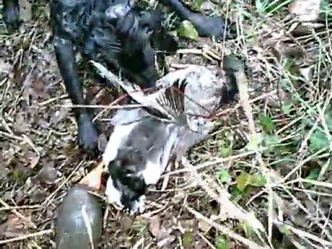 Faero à l'entrainement en eaux profondes