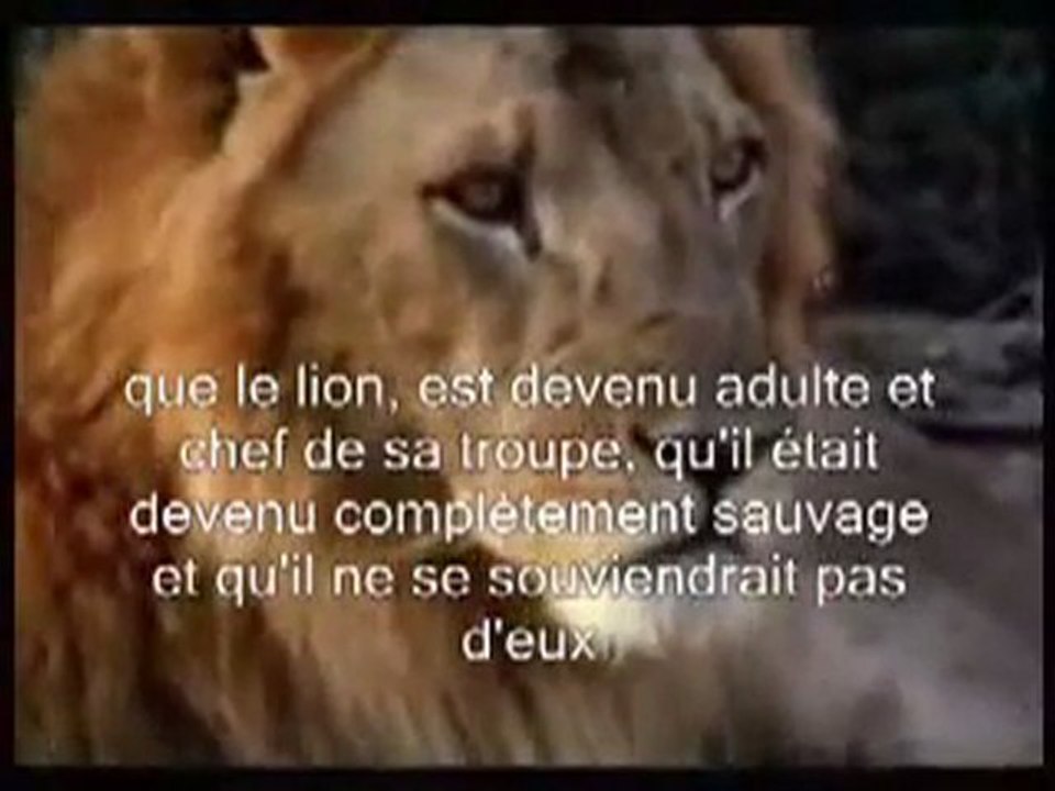Les vraies valeurs Humaines viennent des Animaux...P.P