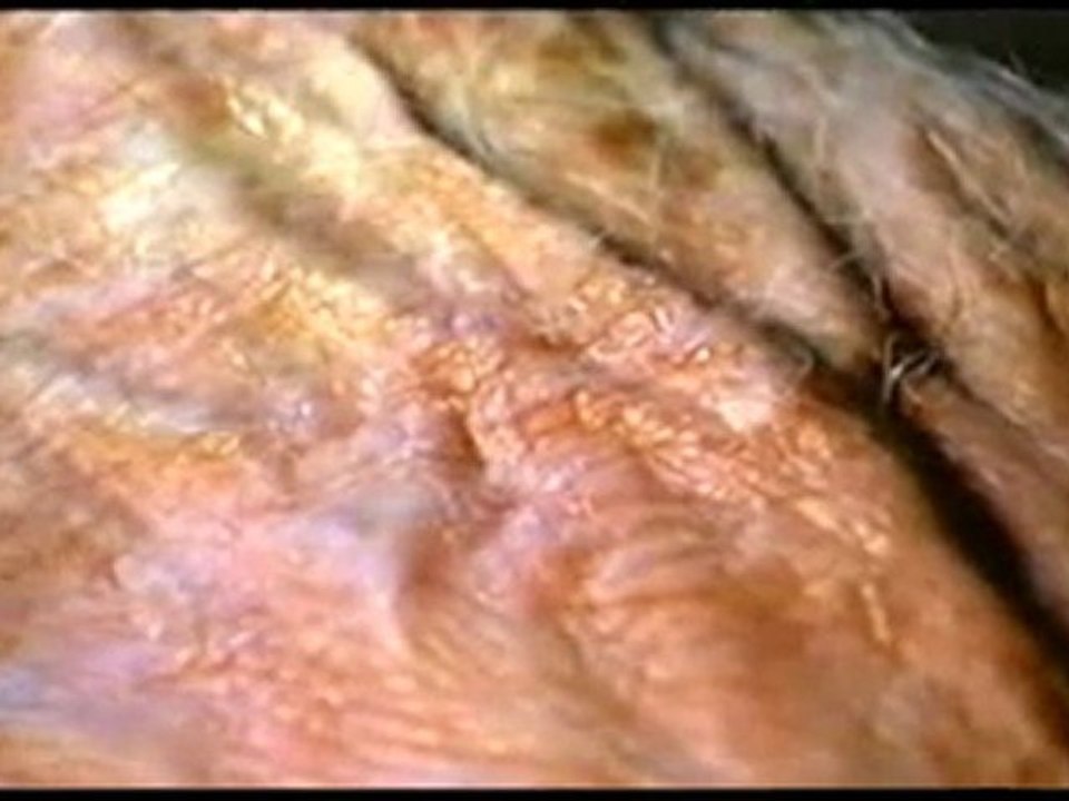 Yaşlılık Belgeseli www.belgeselizle.org