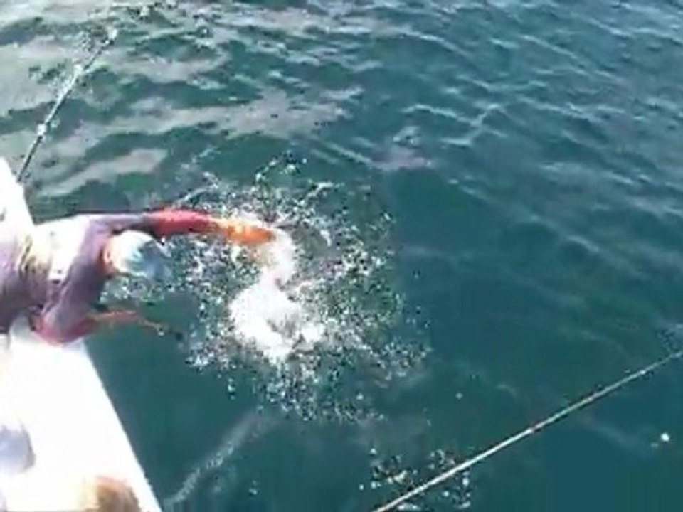 Destin Charter Fishing Boats